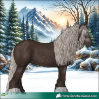 Horse Color:Gray Silver Black 