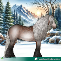 Horse Color:Gray Silver Bay 