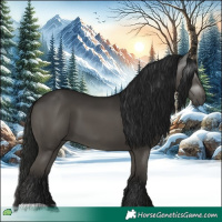 Horse Color:Gray Black 