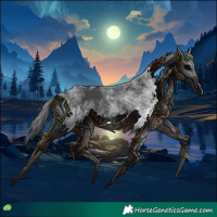 Horse Color:White Spotted Black 