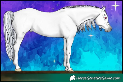 Horse Color:Painted White Spotted Palomino Chinchilla Ice
