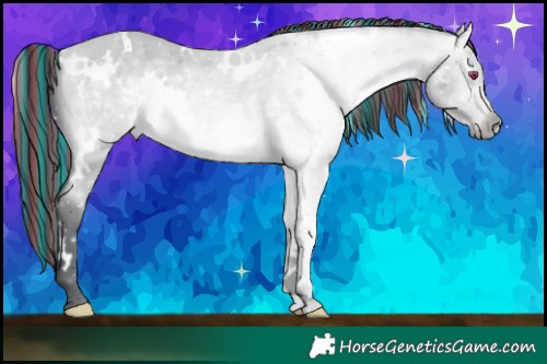 Horse Color:Painted White Spotted Bay Chinchilla