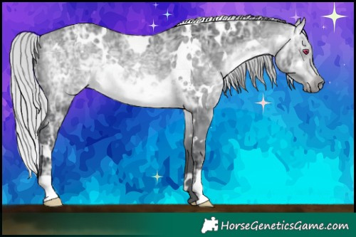 Horse Color:White Spotted Silver Bay Chinchilla Ice