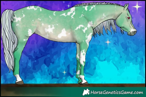 Horse Color:Painted Watercolor White Spotted Silver Bay Chinchilla 