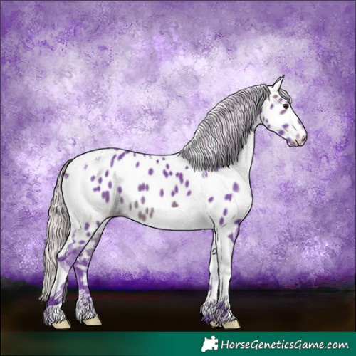 Horse Color:Watercolor Silver Brown Tobiano Appaloosa 