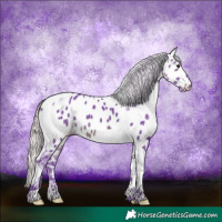 Horse Color:Watercolor Silver Brown Tobiano Appaloosa