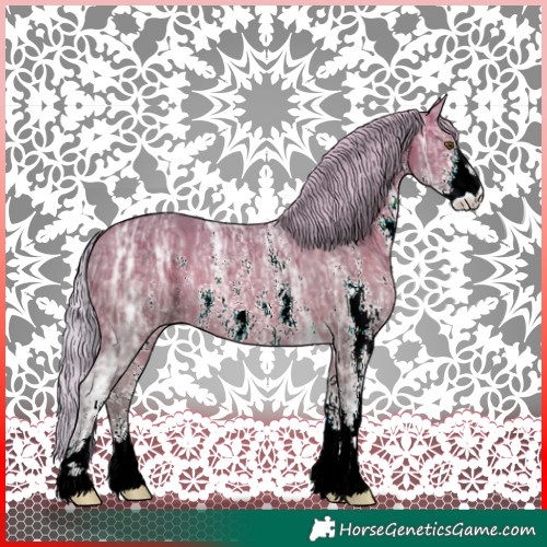 Horse Color:Silver Brown Ice Sabino Rabicano 