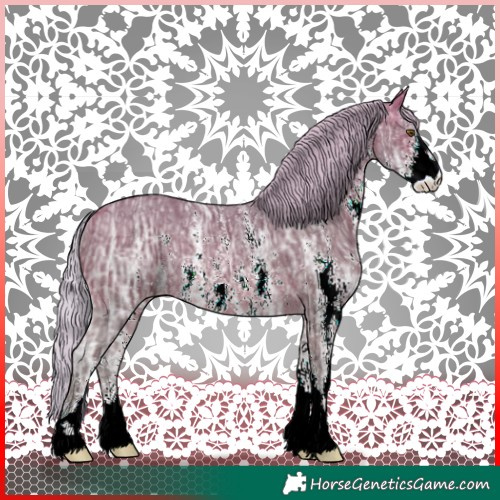 Horse Color:Silver Brown Ice Sabino Rabicano 