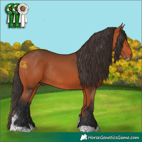 Horse Color:Bay Sabino Rabicano 