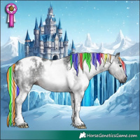 Horse Color:Gray Painted White Spotted Silver Brown Tobiano 