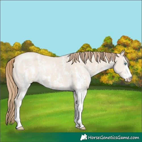 Horse Color:Smoky Creme Dun Sabino 