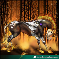 Horse Color:Brown Tobiano 