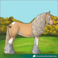 Horse Color:Palomino Dun Tobiano 