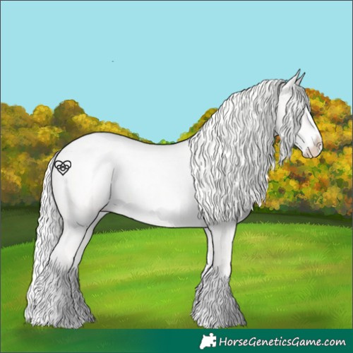 Horse Color:Silver Perlino Roan Splash 