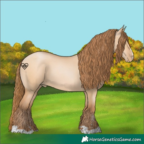 Horse Color:Bay Pearl Dun 