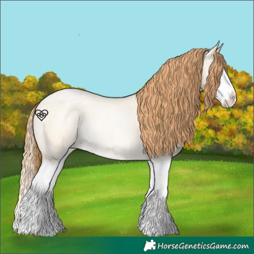 Horse Color:Buckskin Roan Pearl Dun Splash 