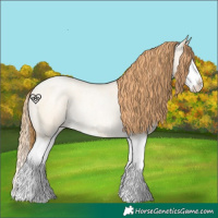 Horse Color:Buckskin Roan Pearl Dun Splash 