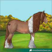 Horse Color:Chestnut Sabino Tobiano 
