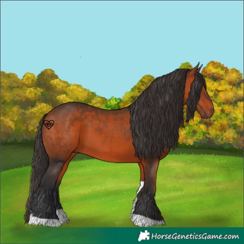 Horse Color:Bay Tobiano 