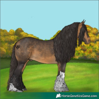 Horse Color:Buckskin Tobiano 