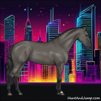 Horse Color:Grullo Rabicano 