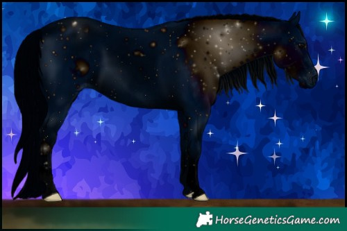 Horse Color:ERROR: UNKNOWN ANOMALY
