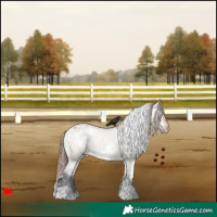 Horse Color:White Spotted Bay Roan Dun Varnish 