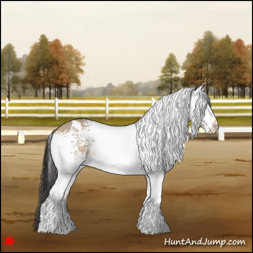 Horse Color:White Spotted Brown Dun 