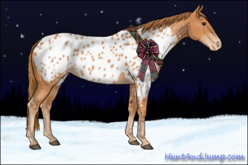 Horse Color:Chestnut Appaloosa 