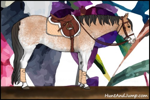 Horse Color:White Spotted Bay Roan