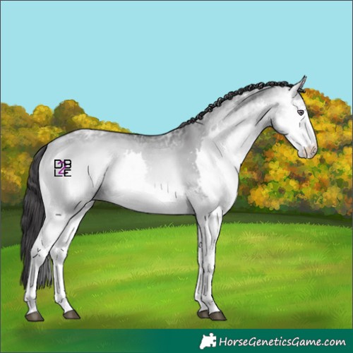 Horse Color:Buckskin Chinchilla Ice Onyx Splash