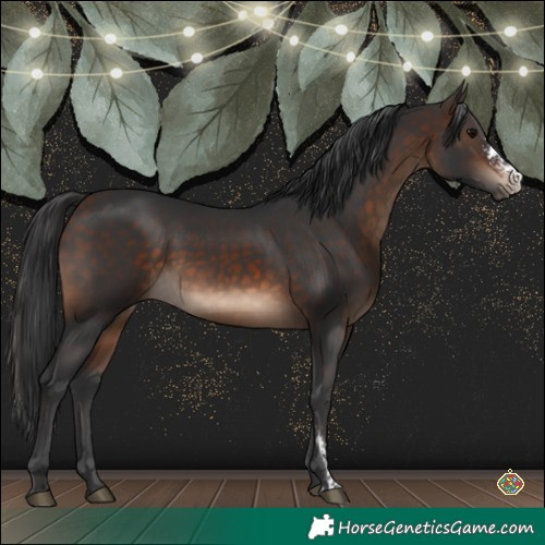 Horse Color:Brown Sabino