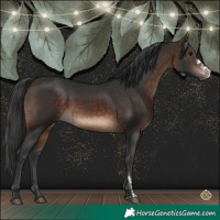 Horse Color:Brown Sabino 