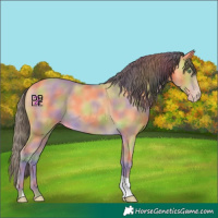 Horse Color:Nacre Amber Cream Champagne 