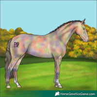 Horse Color:Nacre Amber Cream Champagne 