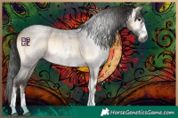 Horse Color:Gray Brown Roan Onyx Sabino