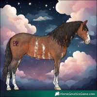 Horse Color:Bay Sabino 