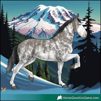Horse Color:Grullo Sabino Splash  and Grullo Sabino Splash 