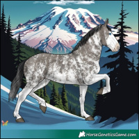 Horse Color:Grullo Sabino Splash  and Grullo Sabino Splash 