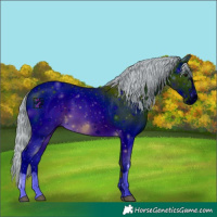 Horse Color:ERROR: UNKNOWN ANOMALY