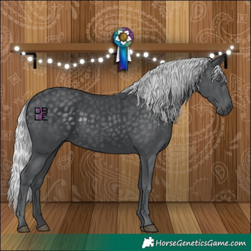 Horse Color:Silver Black Chinchilla 