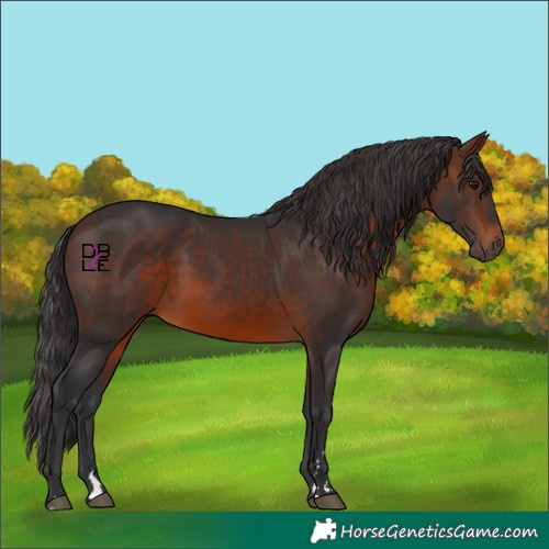 Horse Color:Brown 
