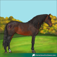 Horse Color:Brown 