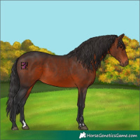 Horse Color:Brown 