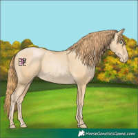 Horse Color:Smoky Black Pearl 