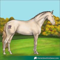 Horse Color:Smoky Black Pearl