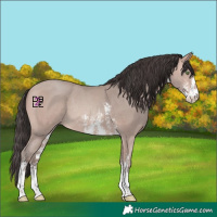 Horse Color:Amber Champagne Mushroom Sabino Rabicano 