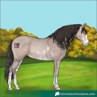Horse Color:Amber Champagne Mushroom Sabino Rabicano