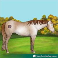 Horse Color:Gray Smoky Black Pearl 