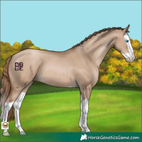 Horse Color:Grullo Pearl Splash 
